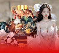 Gà Đá Đòn Độc – Sức Mạnh Vô Đối Trên Sàn Đấu Tại SV388