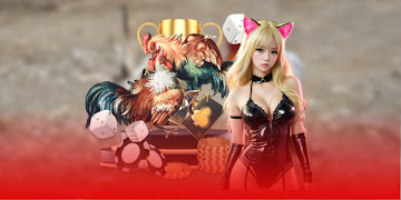 Khái niệm gà đá đòn độc tại SV388