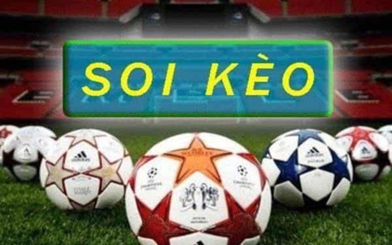 Vì Sao Cần Soi Kèo Theo Từng Loại Kèo?