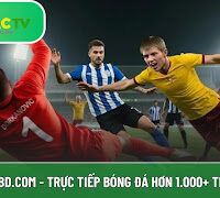 Xoilactvttbd.com - Trực tiếp bóng đá hơn 1.000+ trận cầu hot