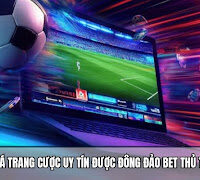 Đánh giá trang cược uy tín www.chateauleveque.com, tại sao bet thủ tin dùng?