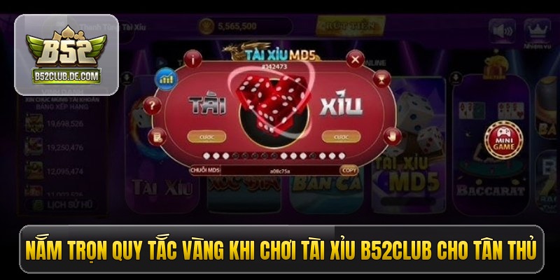 Nắm trọn quy tắc vàng khi chơi tài xỉu B52CLUB cho tân thủ