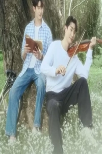 Bí Mật Trong Bản Nhạc Ngân Vang Bất Tận